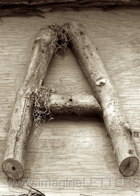 Wall_Art_Alphabet_Photography_Art_ 117.jpg